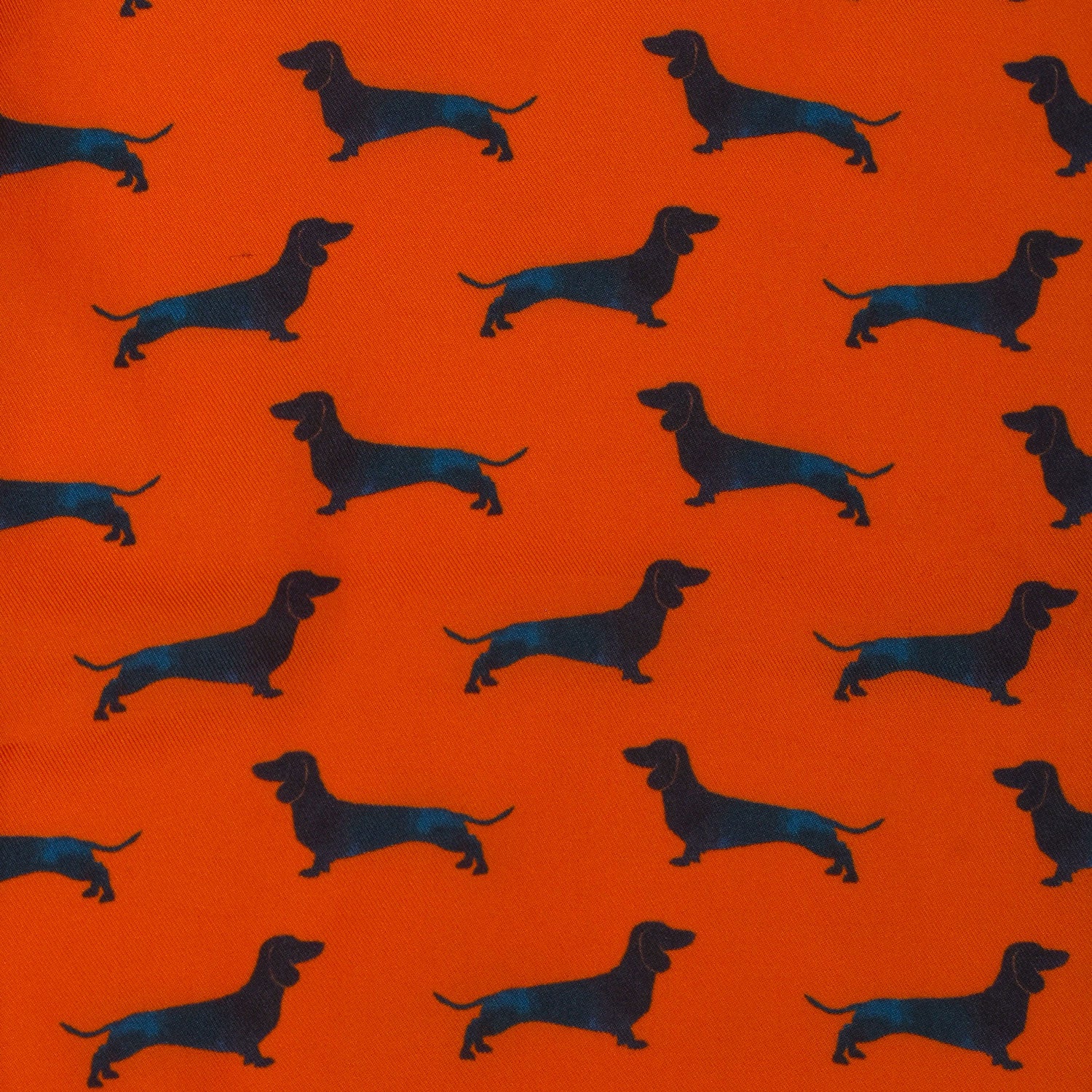 Doxie Pocket Square