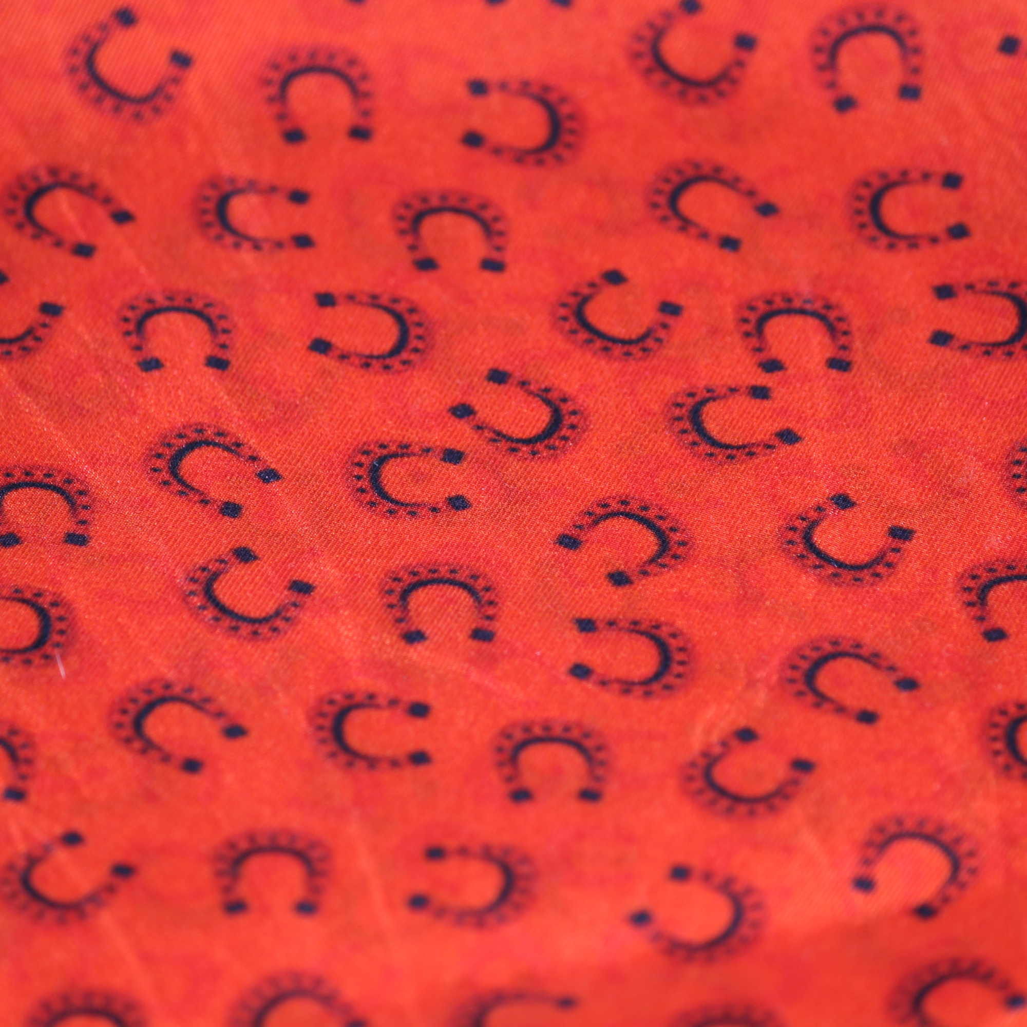 Horseshoe Pocket Square